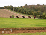 AK300921-53 - Alan King Stable Visit